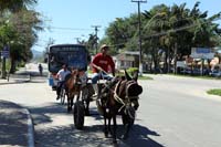 IMG_1072