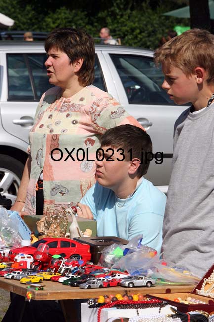 OX0L0231