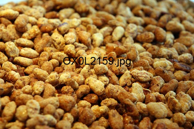 OX0L2159