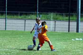 OX0L6479